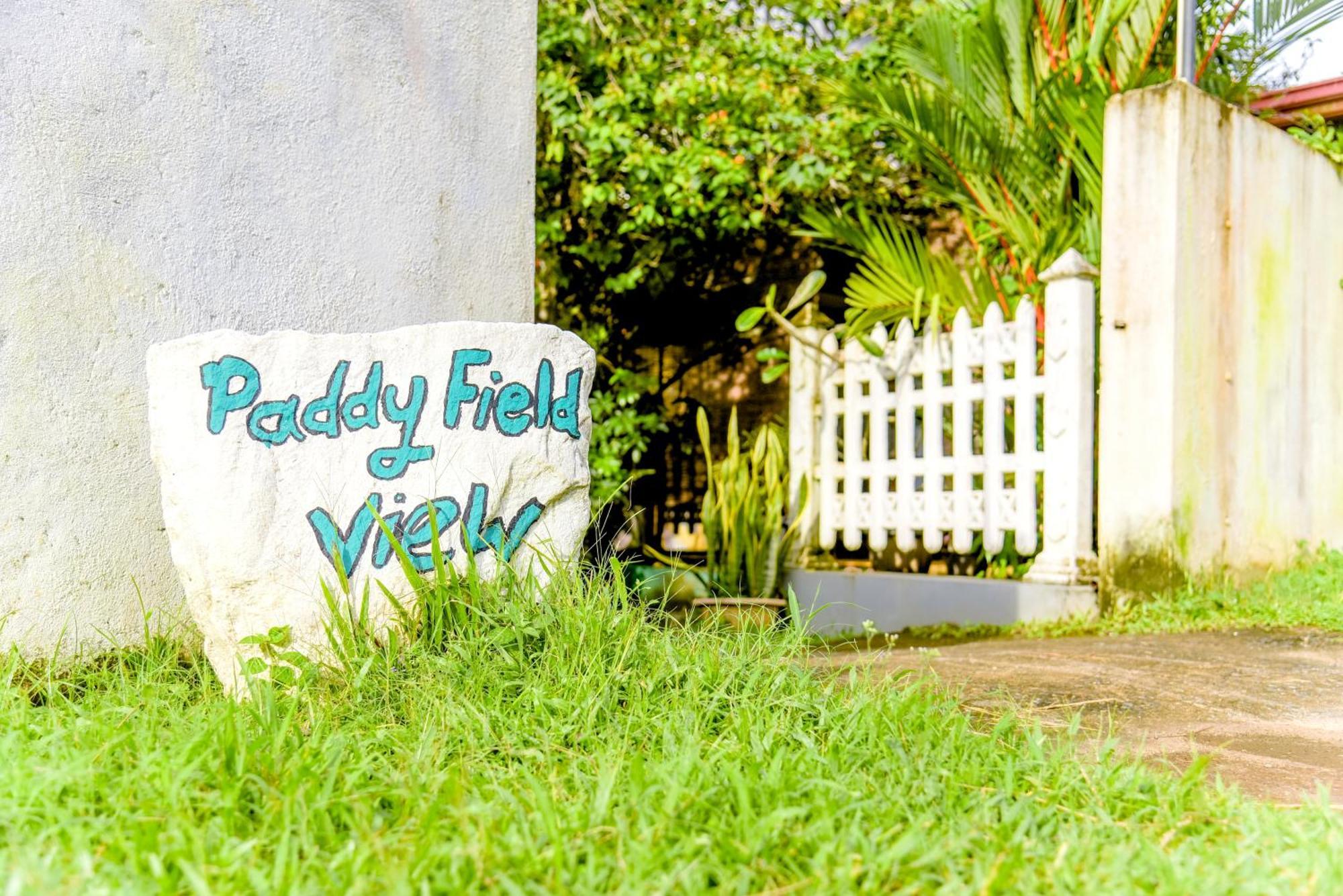 Paddy Field View Resort 미리사 외부 사진
