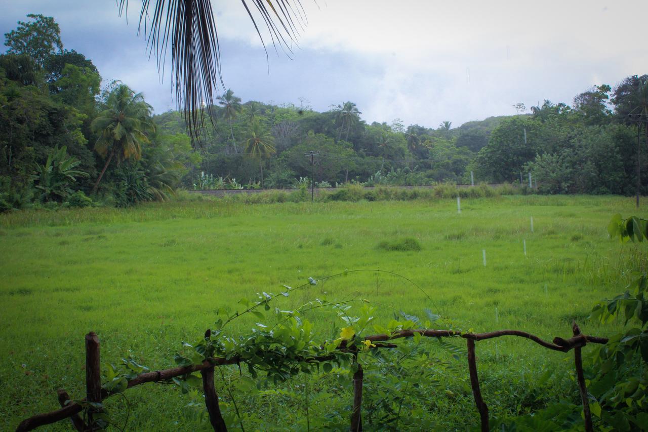 Paddy Field View Resort 미리사 외부 사진