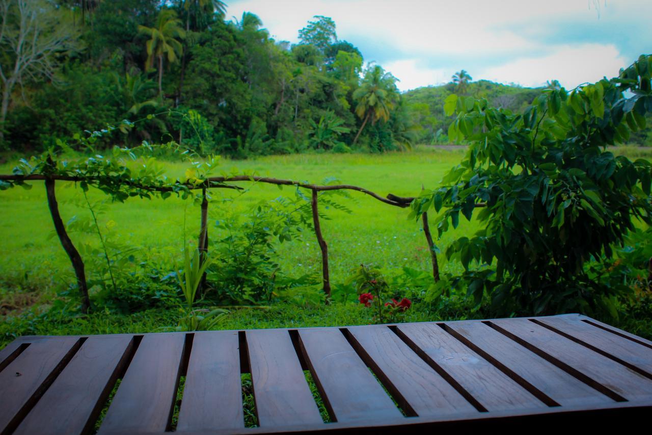 Paddy Field View Resort 미리사 외부 사진